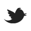 Twitter Fuorirotta Viaggi